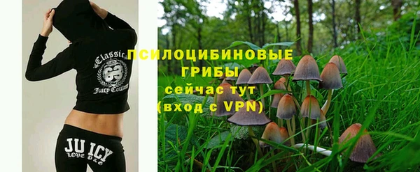 2c-b Алексеевка